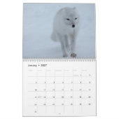 Kalender voor oxes 2016 (Jan 2027)