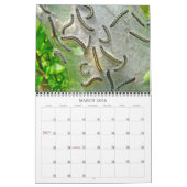 Kalender voor pijlers (Mar 2026)