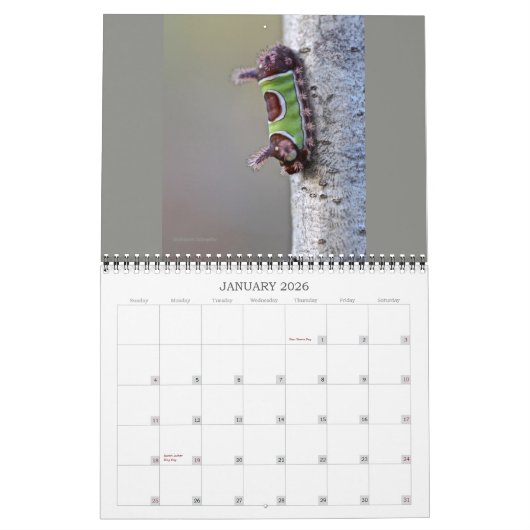 Kalender voor pijlers (Jan 2026)