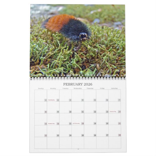 Kalender voor pijlers (Feb 2026)
