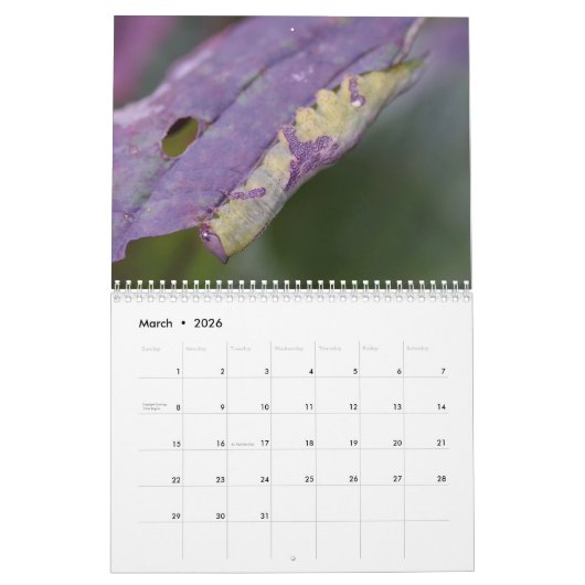 Kalender voor pijlers (Mar 2026)