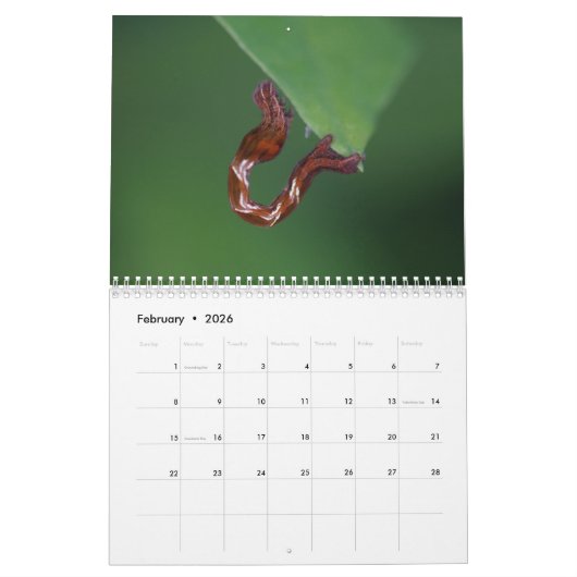 Kalender voor pijlers (Feb 2026)