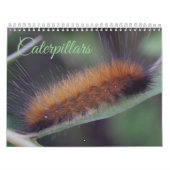 Kalender voor pijlers (Hoes)