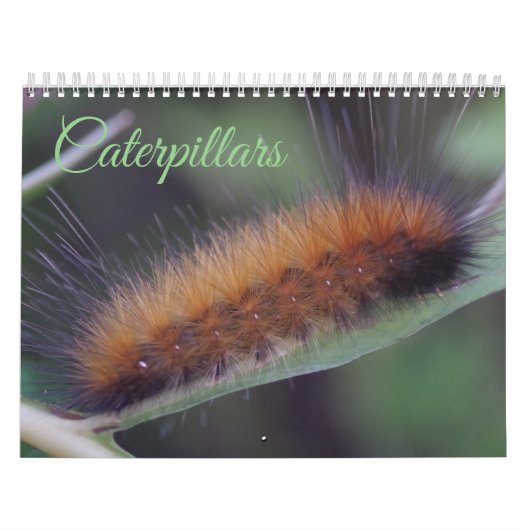 Kalender voor pijlers (Hoes)