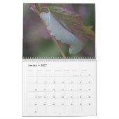 Kalender voor pijlers (Jan 2027)