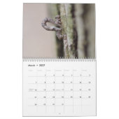 Kalender voor pijlers (Mar 2027)