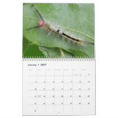 Kalender voor pijlers (Jan 2027)