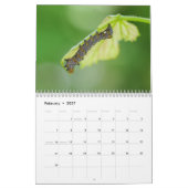 Kalender voor pijlers (Feb 2027)