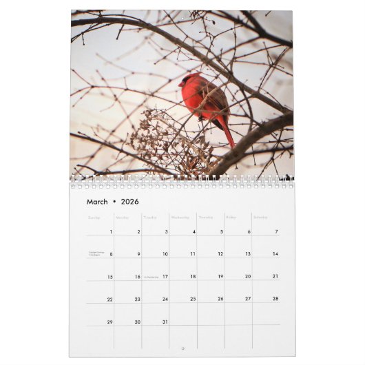 Kalender voor Quad Cities (Mar 2026)