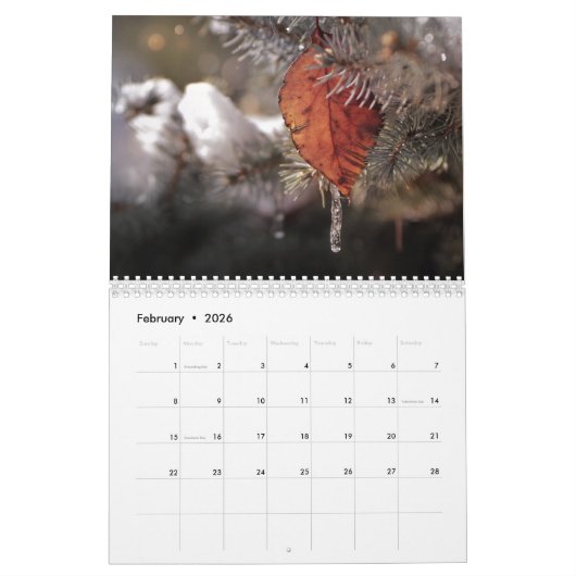 Kalender voor Quad Cities (Feb 2026)