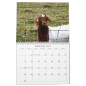 Kalender voor reddingsdieren (Feb 2027)