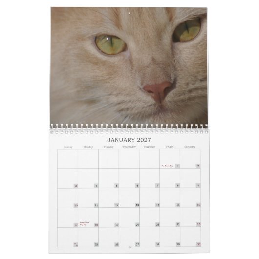 Kalender voor reddingsdieren (Jan 2027)