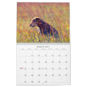 Kalender voor reddingsdieren (Mar 2027)