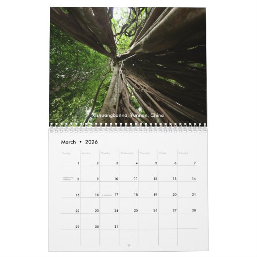 Kalender voor regenwoubomen (Mar 2026)