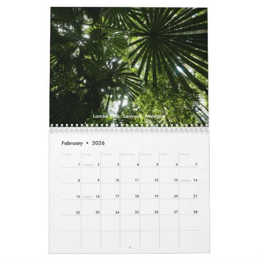Kalender voor regenwoubomen (Feb 2026)