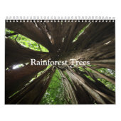Kalender voor regenwoubomen (Hoes)