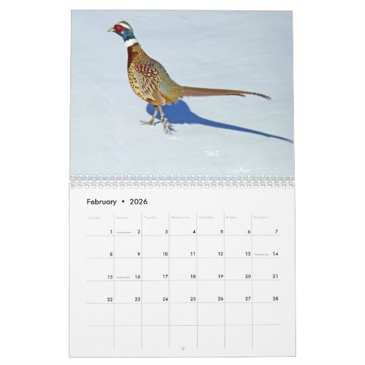 Kalender voor ringhalsfeesten (Feb 2026)