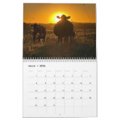 Kalender voor rundvee in 2024 (Mar 2026)