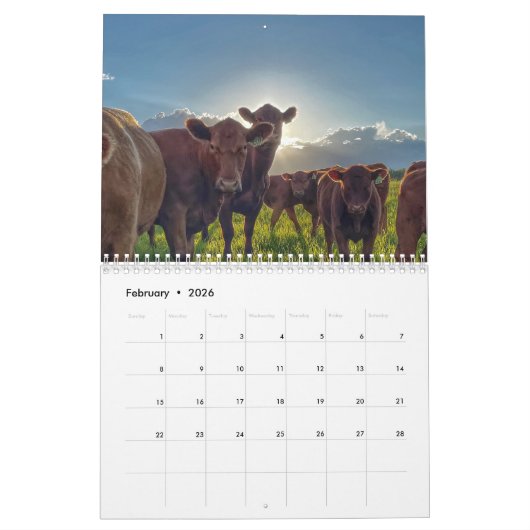 Kalender voor rundvee in 2024 (Feb 2026)