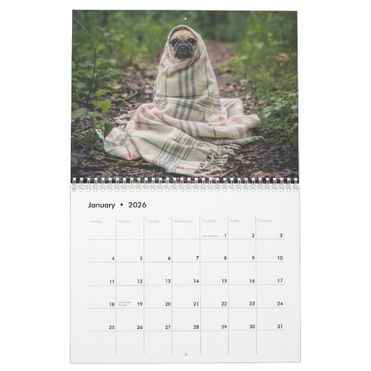 kalender voor schattige honden 2023 (Jan 2026)