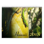 Kalender voor schilderachtig bestemmingen in Hawai (Hoes)