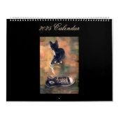 Kalender voor schone kunsten 2025 (Hoes)