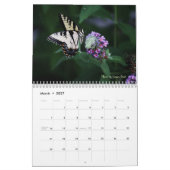 Kalender voor Swallowtail Butterflies (Mar 2027)