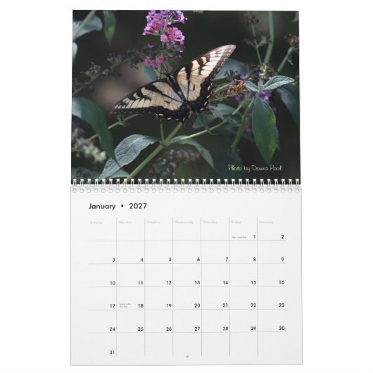 Kalender voor Swallowtail Butterflies (Jan 2027)