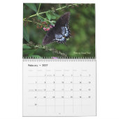 Kalender voor Swallowtail Butterflies (Feb 2027)