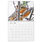 Kalender voor Vander Veer Park (Davenport, Iowa) (Mar 2026)