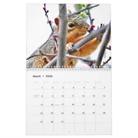 Kalender voor Vander Veer Park (Davenport, Iowa) (Mar 2026)