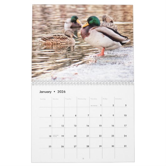 Kalender voor Vander Veer Park (Davenport, Iowa) (Jan 2026)