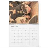 Kalender voor varkens en biggen (Mar 2027)