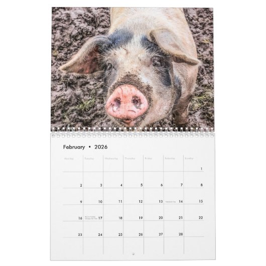 Kalender voor varkens en biggen (Feb 2026)
