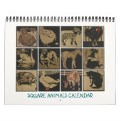 Kalender voor vierkantsdieren - Schema's op de wer (Hoes)