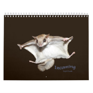 Kalender voor vliegende eekhoorns