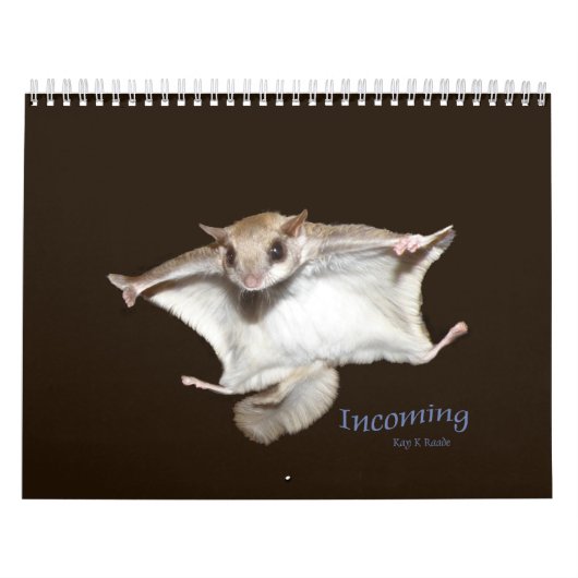 Kalender voor vliegende eekhoorns (Hoes)