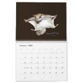 Kalender voor vliegende eekhoorns (Jan 2027)