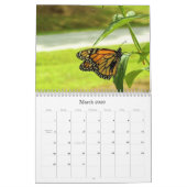 Kalender voor vlinder (Mar 2026)