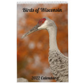 Kalender voor vogels 2022 in Wisconsin (Hoes)