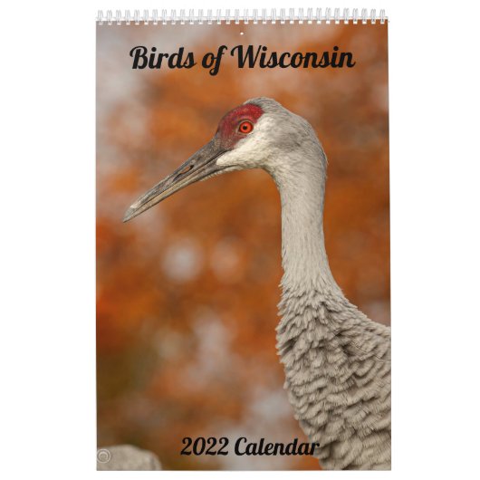 Kalender voor vogels 2022 in Wisconsin (Hoes)