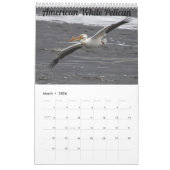 Kalender voor vogels 2022 in Wisconsin (Mar 2026)