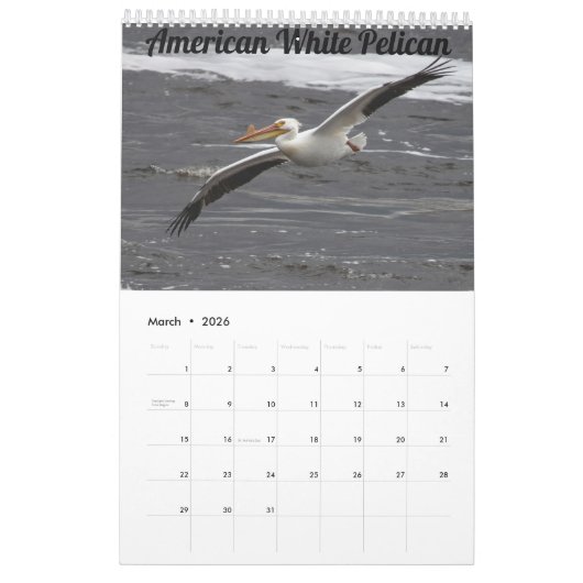 Kalender voor vogels 2022 in Wisconsin (Mar 2026)