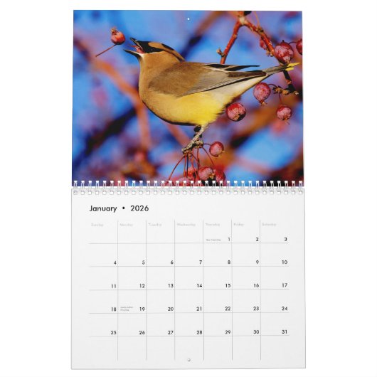 Kalender voor vogels en bloemen 2015 (Jan 2026)
