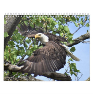 Kalender voor vogels en eenden