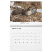 Kalender voor vogels en eenden (Feb 2026)