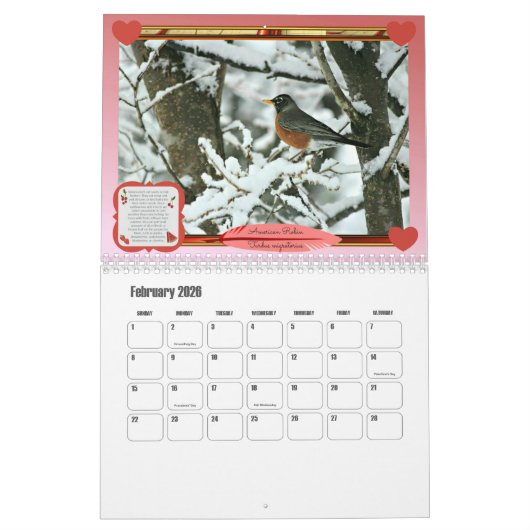 Kalender voor vogels en water (middelgrote schaal) (Feb 2026)