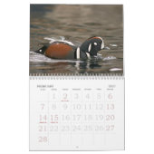 Kalender voor vogels in Alaska (Feb 2027)