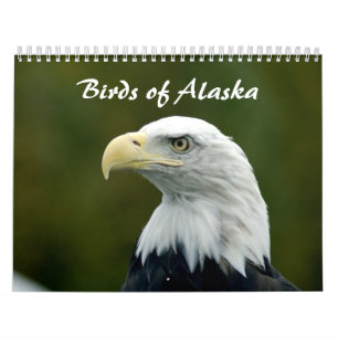 Kalender voor vogels in Alaska