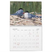 Kalender voor vogels in Alaska (Jan 2026)